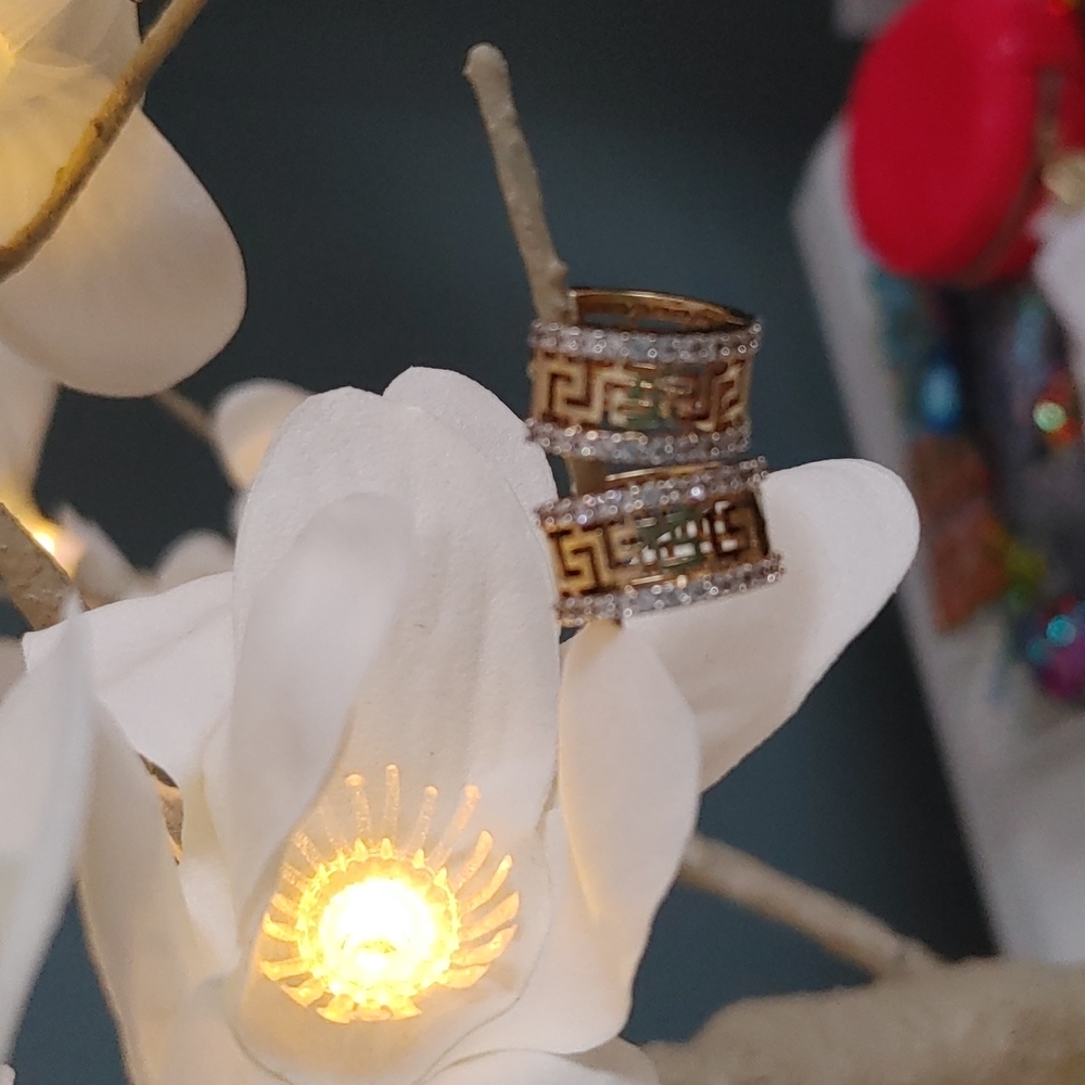 Earrings 10 karat